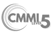 CMMI Level 5